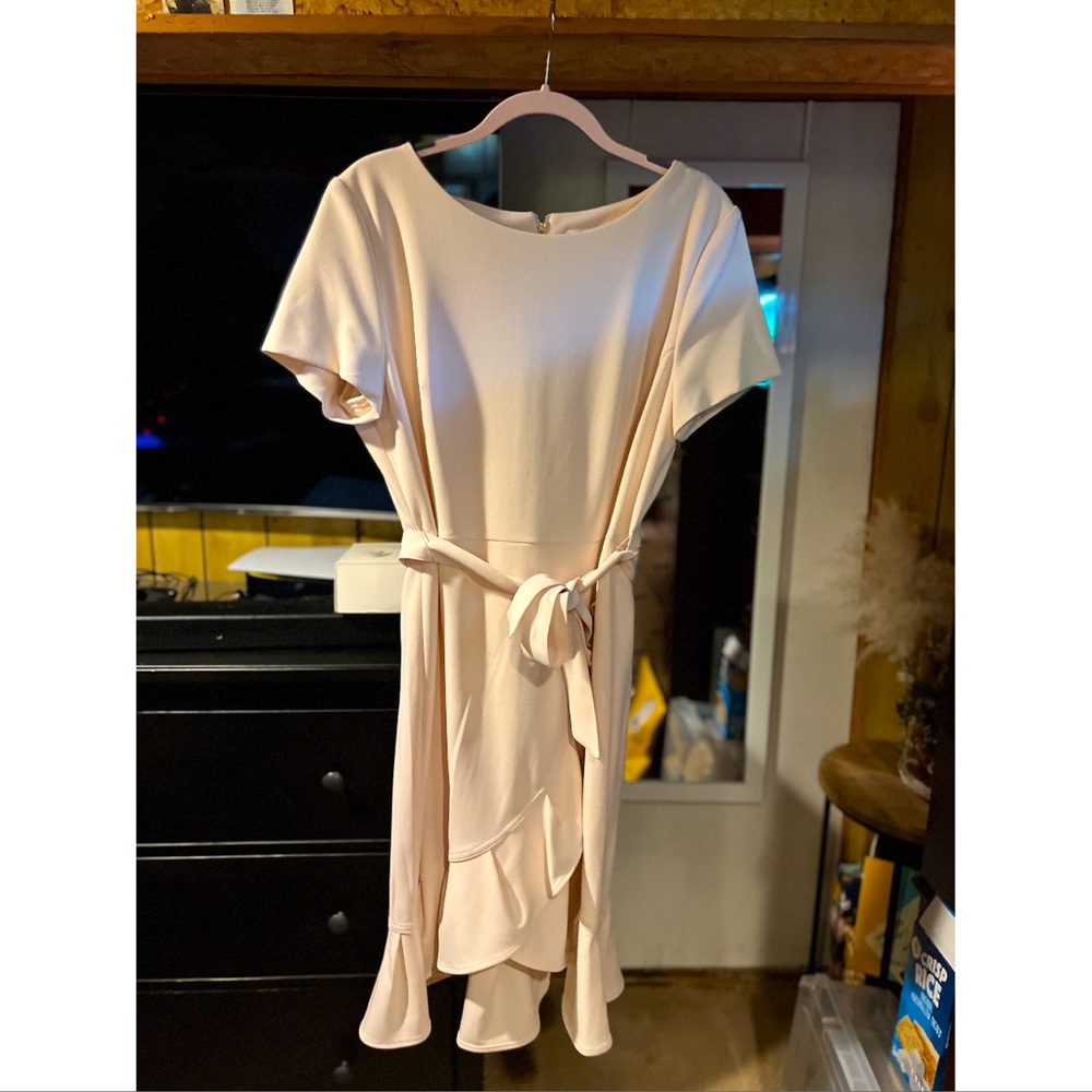 Calvin Klein Women’s Plus Ruffle A Line Dress